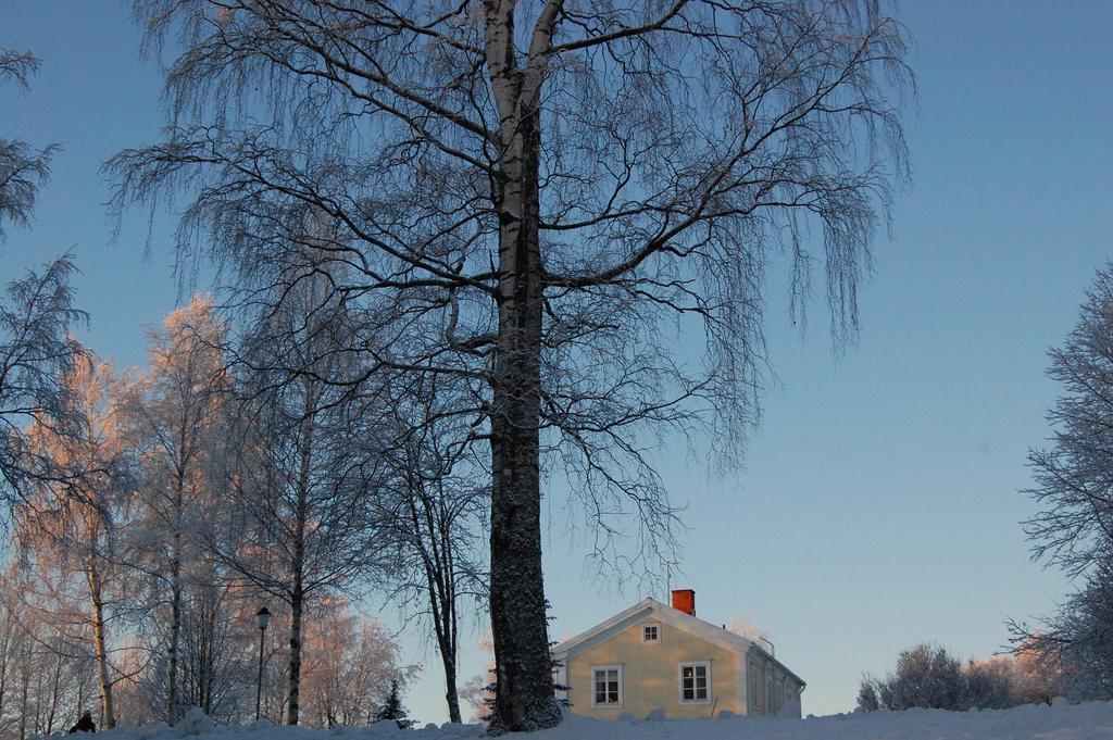 Brunnsgarden Bed & Breakfast Skellefteå Exterior foto